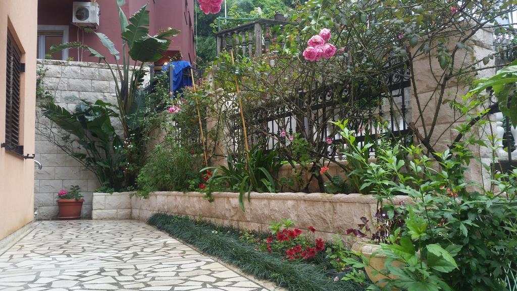 Apartments Zvicer - Milica