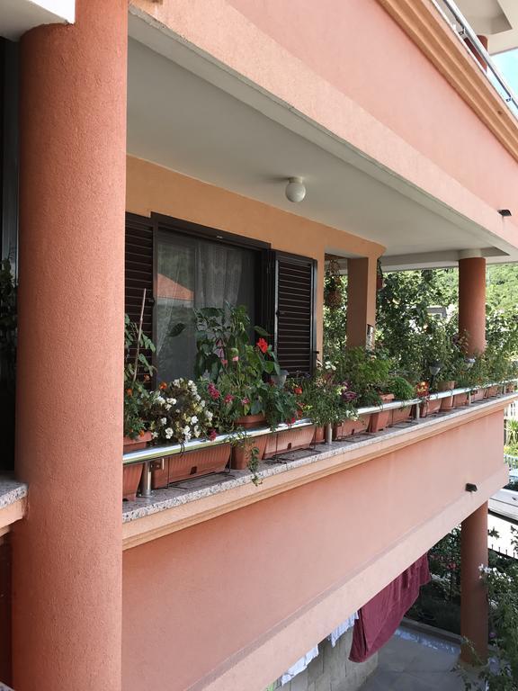 Apartments Zvicer - Milica *