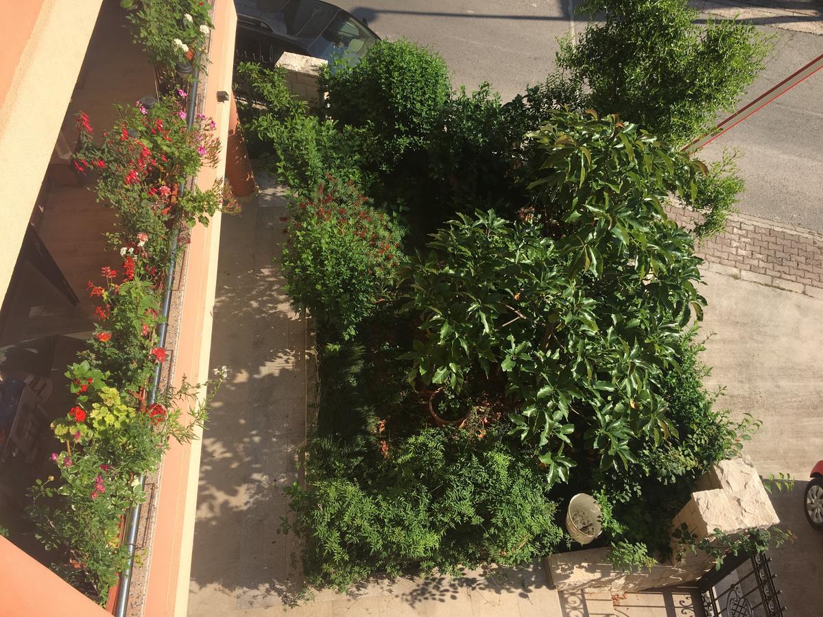 Apartments Zvicer - Milica
