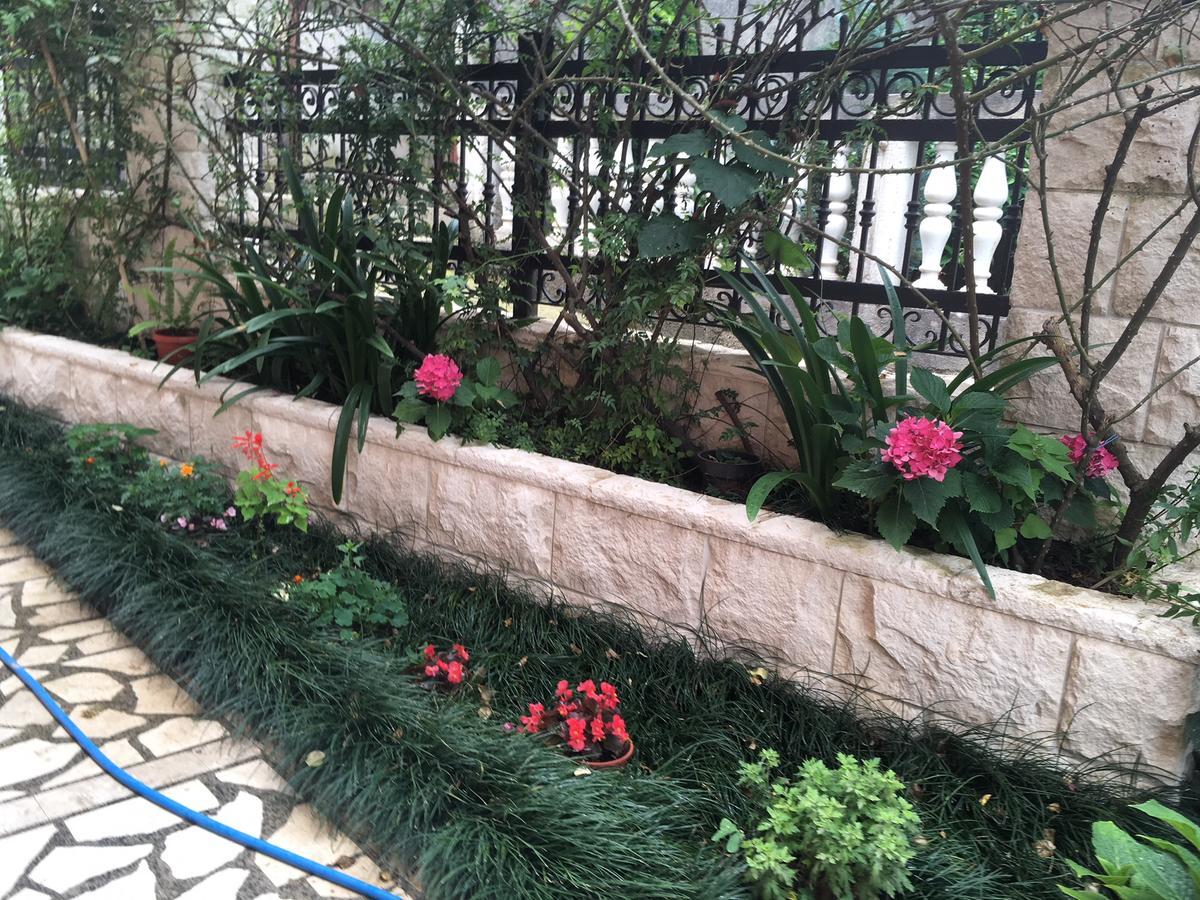 Apartments Zvicer - Milica Budva