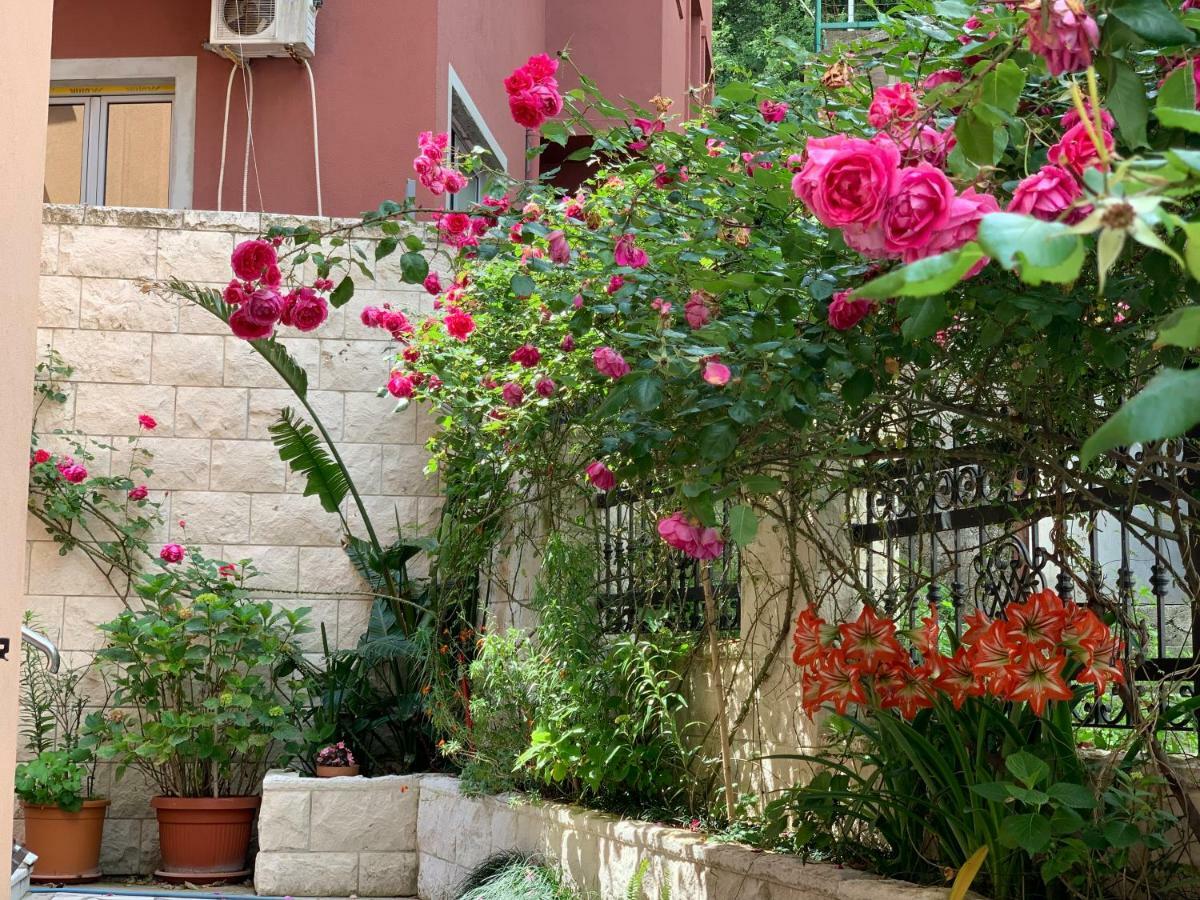 Apartments Zvicer - Milica Apartment Budva