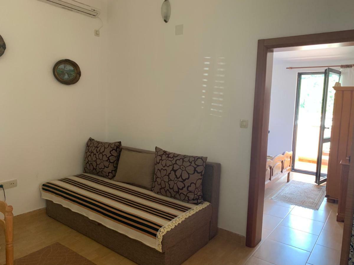 Apartments Zvicer - Milica Apartment
